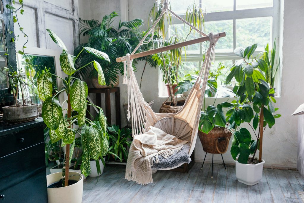 Plantes d'intérieur, une décoration vivante chez soi