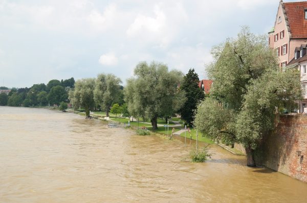 Location : comment puis-je déclarer un dégât des eaux ?